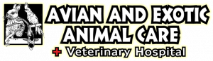 Avian and Exotic Animal Care